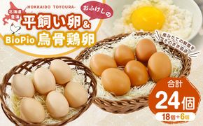 北海道 豊浦 おふけしの平飼い卵18個＋BioPio 烏骨鶏卵 6個