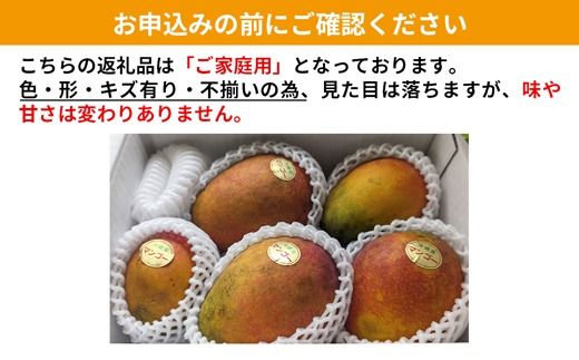 【先行受付】【2026年発送】MKファームの訳ありアップルマンゴー約1kg【訳あり】- 訳アリ 先行予約 家庭用 ご自宅用 沖縄県産 産地直送 南国フルーツ 旬の味覚 アップルマンゴー オススメ 沖縄県 八重瀬町