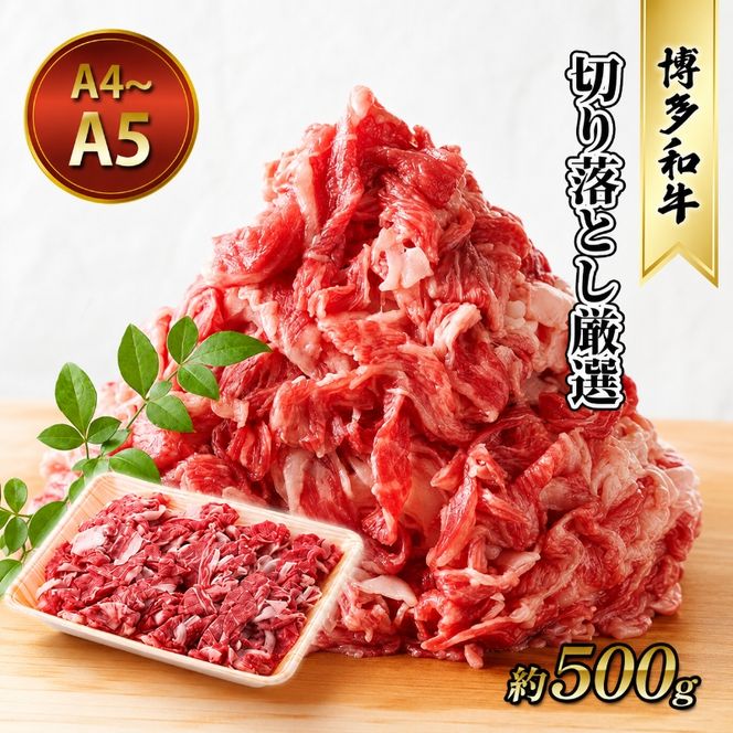 牛肉 切り落とし 約500g 博多和牛 A4～A5 国産 和牛 九州産 黒毛和牛 肉 お肉 牛 冷凍 送料無料 配送不可：離島