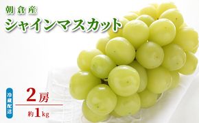 シャインマスカット ぶどう 約1kg 初恵のぶどう園 配送不可 離島 果物類 フルーツ 