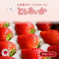 【先行予約】いちご とちあいかセット 270g×4パック（1.08kg以上） ※2026年1月上旬～4月中旬頃に順次発送予定