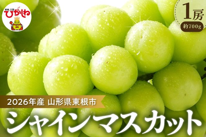 yR`szy2026N s\zԂǂuVC}XJbgv1[ (700g) R` s hi003-152