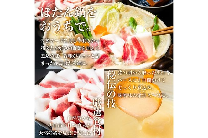 ぼたん鍋セット (2-3人前・天然猪肉300g+特製味噌味猪骨スープ500cc) 猪 猪肉 お肉 鍋 ジビエ ジビエ料理 味噌鍋 冷凍 大分県 佐伯市  【FJ06】【由紀ノ屋 (株)】