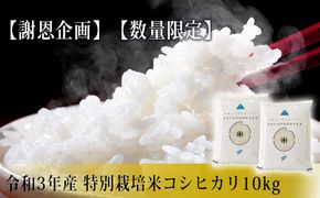 《謝恩企画》《数量限定》令和3年産  特別栽培米 コシヒカリ10kg(5kg×2袋・精米) お米 