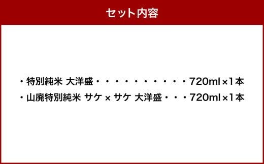 大洋盛 セット STJ（720ml 飲み比べ 2本セット）1009004 大洋酒造 サケ×サケ大洋盛 特別純米大洋盛 日本酒 お酒 酒
