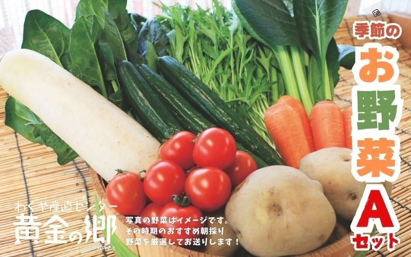 黄金の郷 季節のお野菜 お楽しみAセット / 野菜 やさい セット 詰め合わせ 旬 新鮮 産地直送 朝採れ [aubless001]