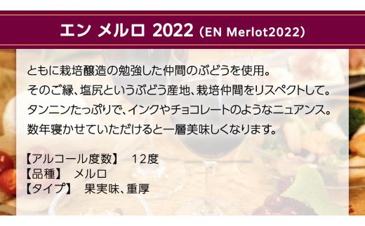 エン メルロ2022 EN Merlot2022 750ml×1本 茨城県産 牛久醸造場 日本ワイン ワイン 赤ワイン 750ml ミディアムボディ お酒 贈り物 葡萄 ぶどう [BJ055us]