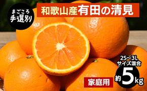 【まごころ手選別】和歌山産　有田の清見　約5kg(2S～3Lサイズ混合)【家庭用】
