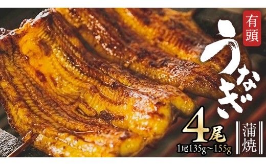鹿児島県産 有頭 鰻 蒲焼 × 4尾 （ 1尾 135g ～ 155g 以上） うなぎ ウナギ 土用丑の日 家庭用 贅沢 国産 旬 敬老の日 タレ 山椒 付 縁起 [DQ008us]