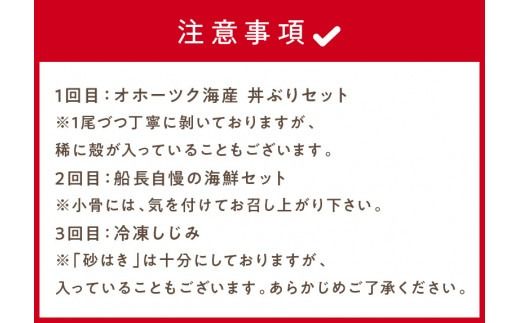 【3ヶ月定期便】船長おすすめ！海の幸セット ( ほたて ホタテ 海鮮丼 ほっけ 鮭 いか サーモン しじみ 定期便 魚介 )【999-0155】