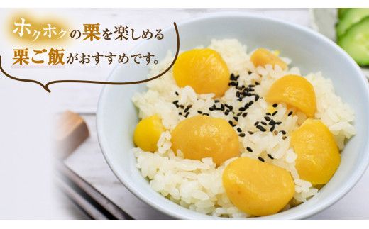 《 先行予約 》 栗 2kg （ 1kg × 2袋 ） 茨城県産 貯蔵 石鎚栗 生栗 くり クリ マロン 栗ご飯 栗ごはん 果物 フルーツ 冬 正月 おせち いしづち JA全農いばらき JA