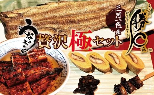 【備長炭で焼く“いい焦がし”】勝〇のぜいたく極セット 珍味うなぎの頭も食べられる 鰻 ウナギ 蒲焼 白焼 肝焼き う巻き かぶと焼き たれ タレ 国産 備長炭 土用 丑の日 冷凍 三河一色産 贅沢 ぜいたく 極み 珍味 H189-005