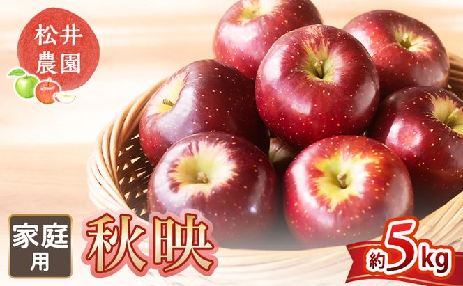 りんご【自家用りんご 秋映 5kg】信州りんご リンゴ 林檎 果物 くだもの フルーツ 信州 長野