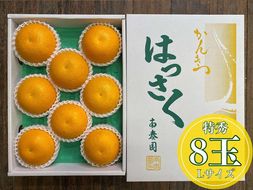 化粧箱 手詰め 有田 はっさく 特秀 L サイズ × 8玉入 南泰園 みかん BS702