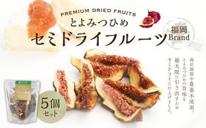 福岡ブランド！ とよみつひめ セミドライフルーツ 5個セット いちじく 無花果 イチジク フルーツ スイーツ 果物 くだもの