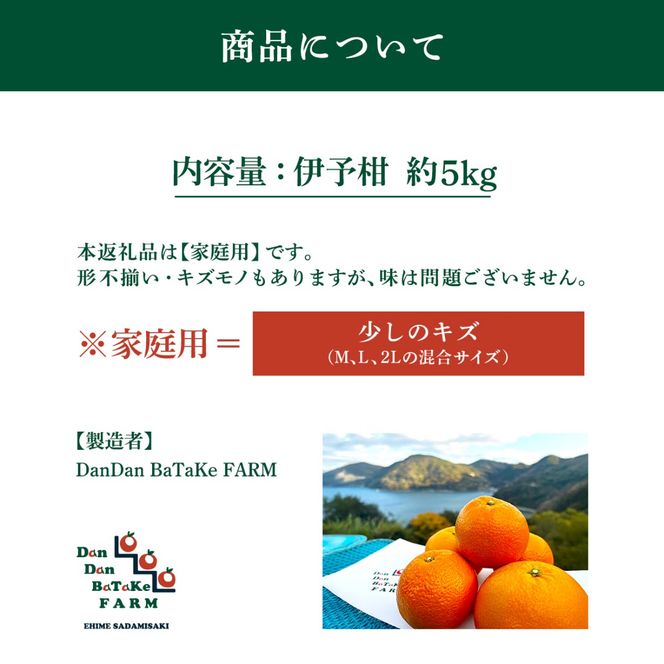 【先行予約】【家庭用】伊予柑 約5kg | 柑橘 みかん 果物 フルーツ 愛媛県産 農家直送　※離島への配送不可　※2027年1月中旬から順次発送予定 IKTAU001