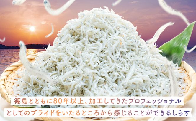 【スピード発送】＜篠島産＞ しらす干し500g シラス 南知多産 愛知