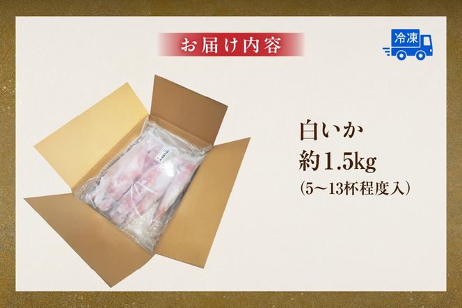 【白イカ 約1.5kg（5-13杯程度入）冷凍】 国産 獲れたまま バラ凍結 鮮度抜群 いか イカ 白いか 白イカ 大人気 おすすめ 返礼品 ふるさと納税 香美町 香住 山米鮮魚 74-06