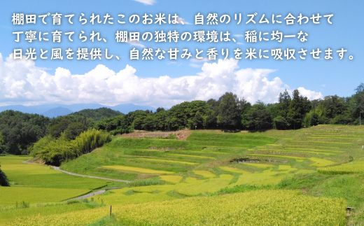 健幸農園の棚田米 5kg 【2025年産】 精米 白米 農家直送