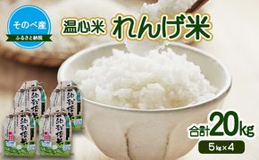 れんげ米20kg(5kg×4) 令和7年度産　そのべ産 温心米 20kg　お米 単一原料米 こしひかり 丹波 精米 白米 こめ コメ 京都