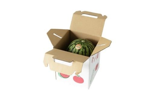 こだますいか 「 愛娘 」 1玉 2026年産 先行予約 筑西ブランド こだまスイカ 小玉スイカ すいか スイカ フルーツ 果物 [AF078ci]