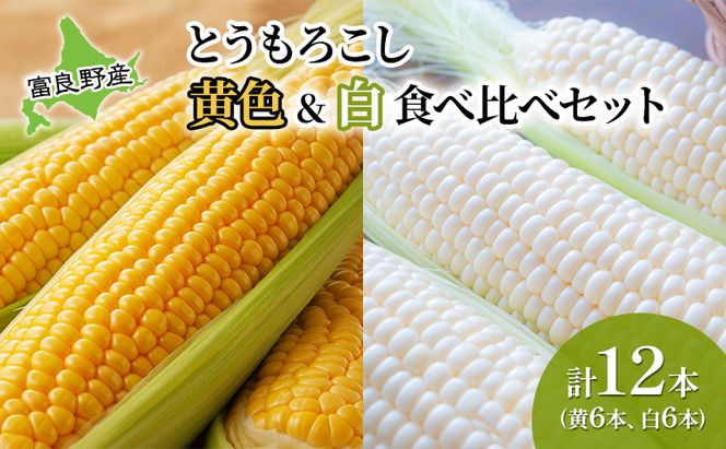 【2026年夏発送】 とうもろこし 食べ比べ 富良野産とうもろこし 黄6本・白6本セット 北海道 富良野 ふらの コーン とうきび トウモロコシ ホワイトコーン 野菜 甘い