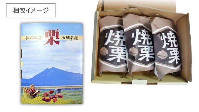 【 谷口農場 】 大粒 熟成 焼き栗 900g ( 2Lサイズ ) 300g × 3袋 完熟 栗 くり クリ 栗ごはん 果物 フルーツ 数量限定 [EC003ci]