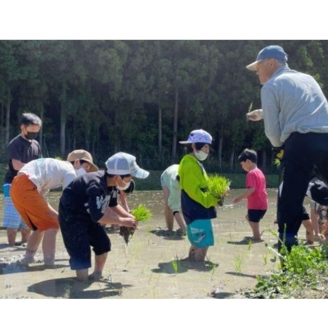 純米大吟醸 しまがはら元頭（エトー）720ml×2本【smhr0001】