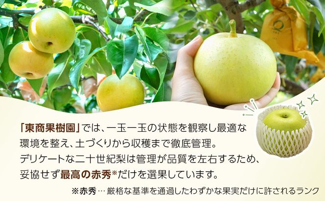 1263.【2026年度発送先行予約】数量限定　二十世紀梨　3kg 313726_CS006