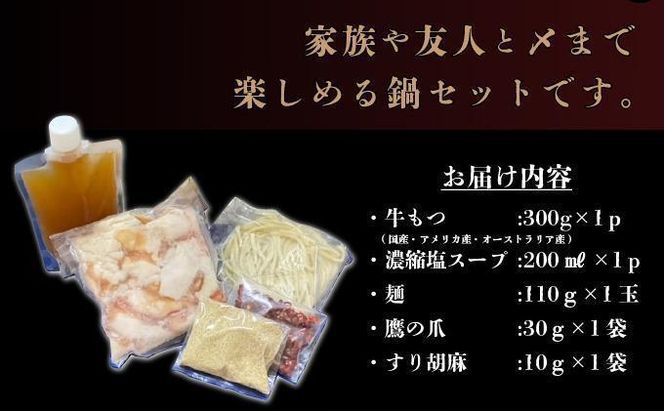 ＜最短10営業日以内発送＞2～3人前 絶品塩もつ鍋セット（300g）