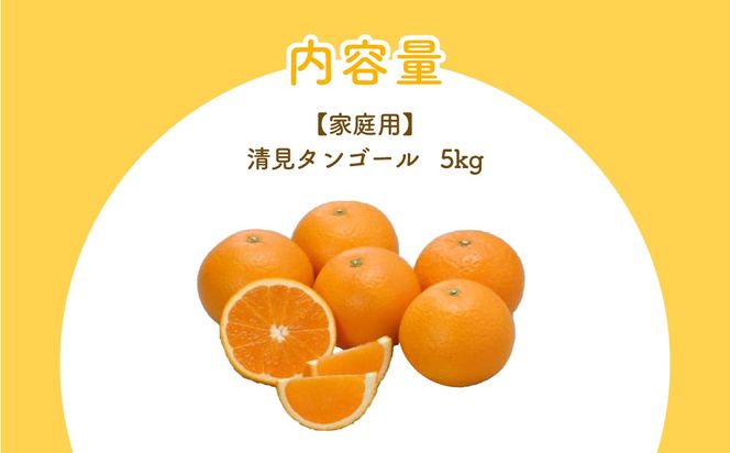 【先行予約】【家庭用】清見タンゴール 5kg ※離島への配送不可（2027年3月上旬～4月上旬頃より順次発送予定） IKTBD017