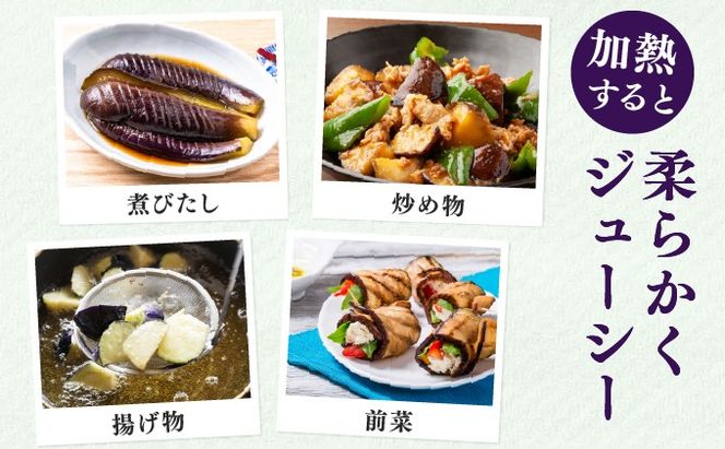 ＜先行予約＞北海道伊達産 長ナス 3kg 詰め [2026年発送]【ogr-001】