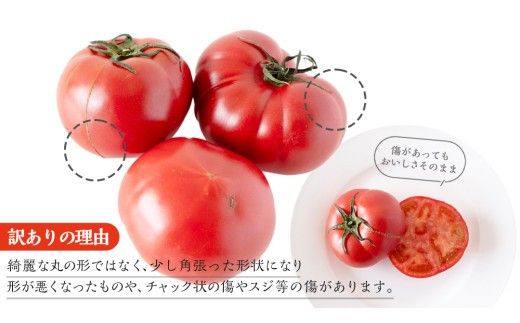 【 訳あり 】 スーパーフルーツトマト 大箱 約2.6kg × 1箱 【大玉 20～35玉】 2026年産 野菜ソムリエサミット 金賞 糖度9度 以上 野菜 フルーツトマト フルーツ トマト とまと 規格外 不揃い 傷 [AF055ci]