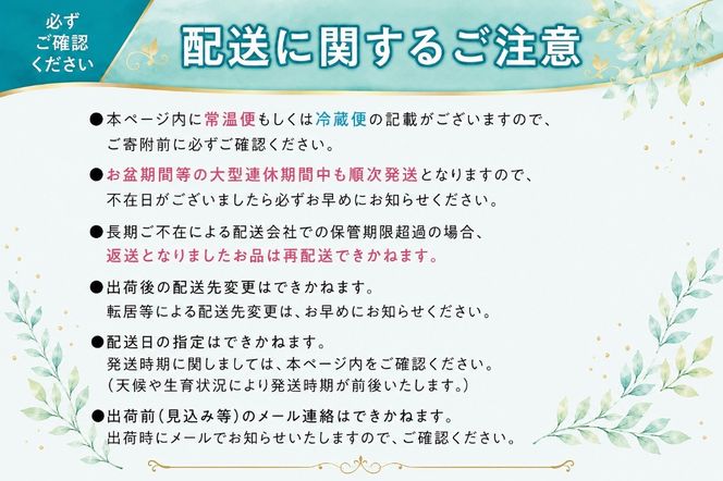 【2026年発送★先行予約】フルーツ王国笛吹市の大粒シャインマスカット3~4房2kg  137-003-26y