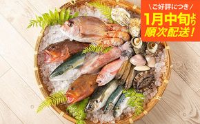 【城崎温泉おけしょう鮮魚】 季節の海の幸セット 約4人前