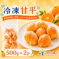 冷凍甘平 500g×2袋 冷凍みかん みかん ミカン 愛媛みかん 蜜柑 柑橘 かんきつ 冷凍ミカン 冷凍柑橘 アイス スムージー シャーベット みかん職人武田屋 愛媛県 愛南町