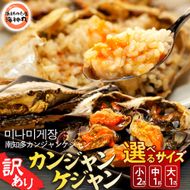 【選べる サイズ】訳あり 南知多カンジャンケジャン カンジャンケジャン ワタリガニの醤油漬け 魚介 魚介類 ワタリガニ 渡蟹  蟹 新鮮 グルメ カニ お米 に合う コメ に合う こめ に合う ご飯 のお供 おすすめ 韓国料理 韓国グルメ ケジャン おいしいカニ  晩酌 肴 おかず そうめん 雑炊 濃厚 内子 海の幸 国産 夕食 万能 まるごと ふるさと納税カニ 自家製ダレ 蟹の旨味 愛知県 南知多