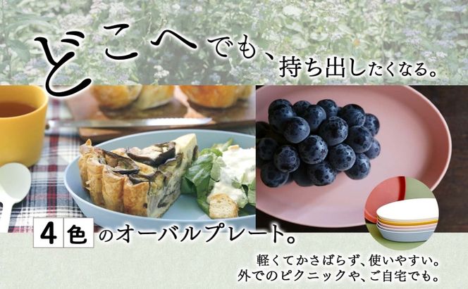 Nogakel オーバル プレート 4色 セット テーブルウェア 食器 お皿 トレー 食卓 ピクニック 日用品 雑貨 かわいい おしゃれ スタッキング 食洗器対応 紙 樹脂 ECO エコ バイオマス サスティナブル 新素材 送料無料 ノガケル 古田化成 岐阜県 美濃市