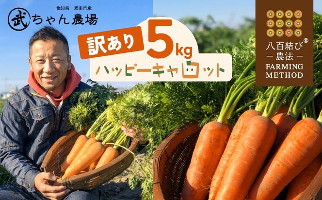 【食品ロス削減】（ 訳あり ）甘さと栄養で体も笑う武ちゃん農場の“ハッピーキャロット” 5kg　H095-032