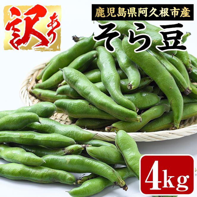 ＜先行予約受付中！2026年4月下旬以降順次発送予定＞訳あり！鹿児島県阿久根市産そら豆(4kg) 野菜 旬 春野菜 訳アリ 国産 鹿児島県産 阿久根市産 そら豆 ソラマメ おつまみ【黒坂青果】akn049-03
