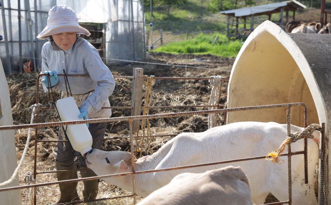 デザート感覚で食べる「湖水地方牧場の白いチーズとオリジナルバウムクーヘン」のペアリング提案 お菓子 スイーツ 乳製品 焼き菓子 セット 熟成 フレッシュチーズ 北海道産 おやつ 