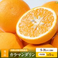 【2027年先行予約】和歌山県産　カラマンダリン　約5kg　秀品_ZE6501