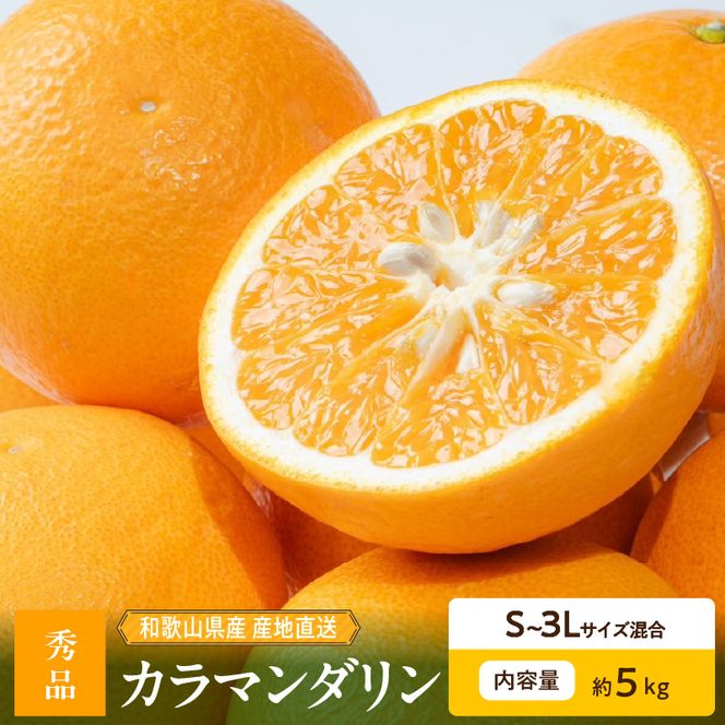 【2027年先行予約】和歌山県産　カラマンダリン　約5kg　秀品_ZE6501