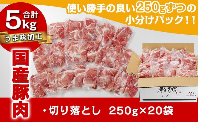 国産豚肉切り落とし5Kg(うま味加工)_MJ-3647