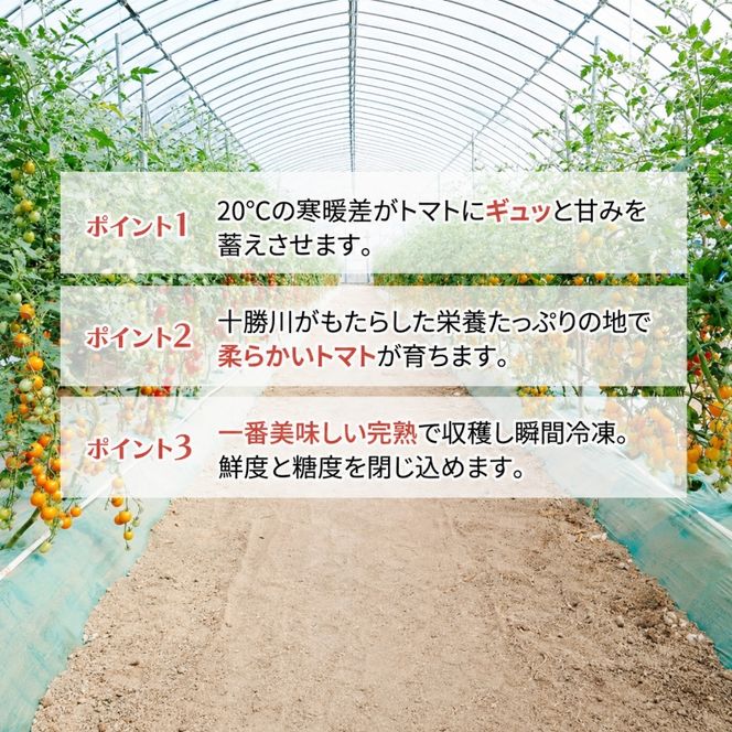 【先行予約】糖度平均9～10度！十勝 幕別産 ミニトマトジュース「自慢のトマトでつくりました。」赤720ml×1本・黄180ml×4本 セット［北海道ホープランド農場］食塩無添加【 トマト ミニトマト 飲料 ジュース 】
