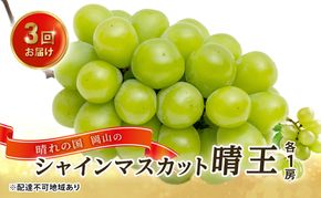 ぶどう 2026年 先行予約 3回お届け！  晴れの国 岡山の シャイン マスカット  晴王 ×3回！(各1房)  葡萄  岡山県産 国産 フルーツ 果物 ギフト 食後 高級ぶどう 大粒 種なし 甘みが強い 皮ごと