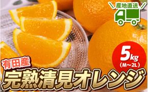 完熟 清見 オレンジ 5kg  (M～２Lサイズおまかせ) 先行予約 ＼ みかんの名産地 和歌山県産 ／ 農家直送 / 柑橘 果物 甘い ※2027年3月中旬～4月下旬頃発送予定 【hdm011-r-5A】