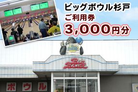 ビッグボウル杉戸 ご利用券 3千円分｜ボーリング アクティブ スポーツ 遊び 東武動物公園駅 杉戸 埼玉 [0695]