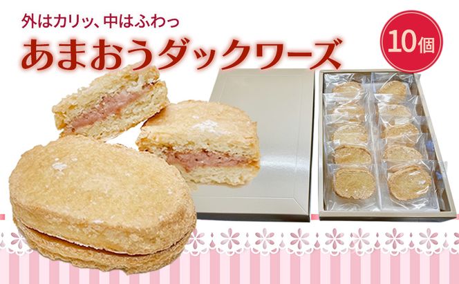 洋菓子 あまおう ダックワーズ 10個入り いちご スイーツ 菓子 お菓子
