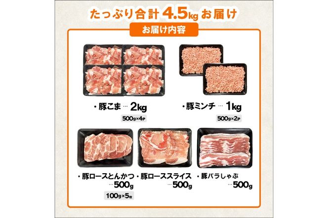 豚肉 宮崎県産豚肉 バラエティ セット 計4.5kg [南九フーズ 宮崎県 日向市 452061538] こま ミンチ 挽肉 ロース とんかつ しゃぶしゃぶ 生姜焼き 小分け